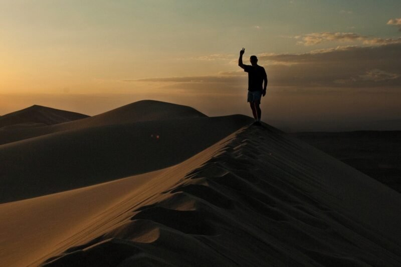 Gobi Desert landscape Mongolia - sand dunes and vast steppe