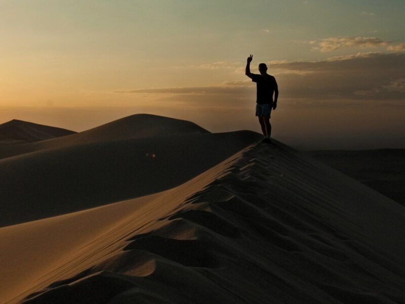 Gobi Desert landscape Mongolia - sand dunes and vast steppe