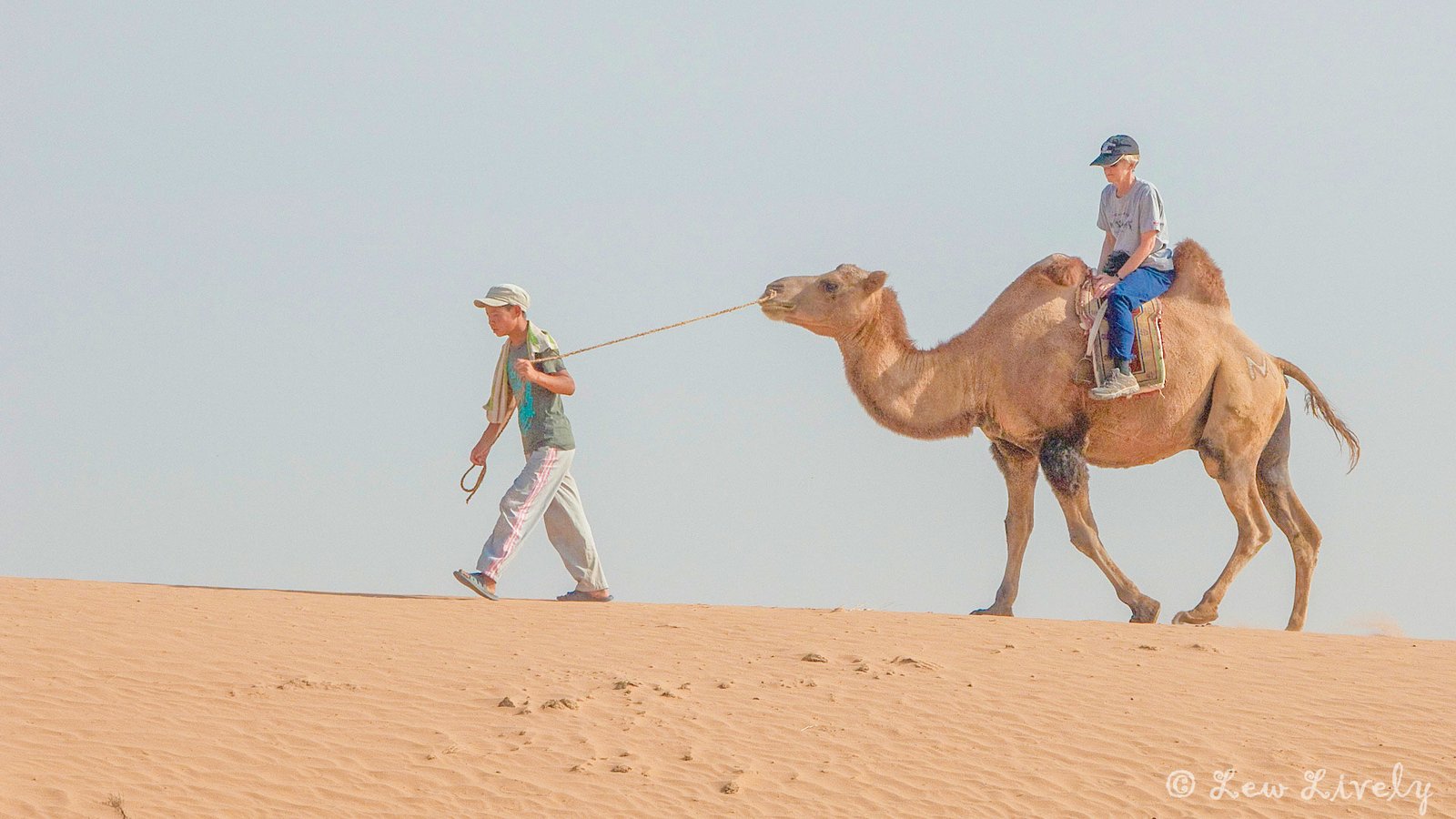 Yoliin Am gorge canyon Gobi Desert Mongolia wildlife hiking