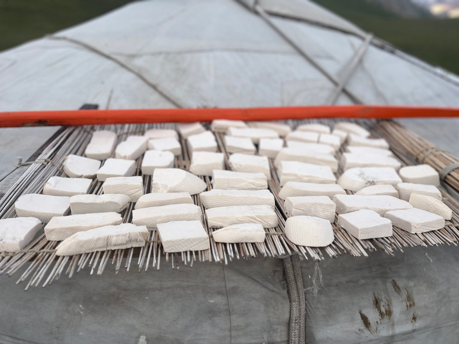 Aaruul dried curd cheese drying on a rack on a Mongolian ger roof in summer