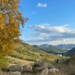 Autumn larch trees in Terelj National Park mountain valley — Naadam Festival Tour Mongolia
