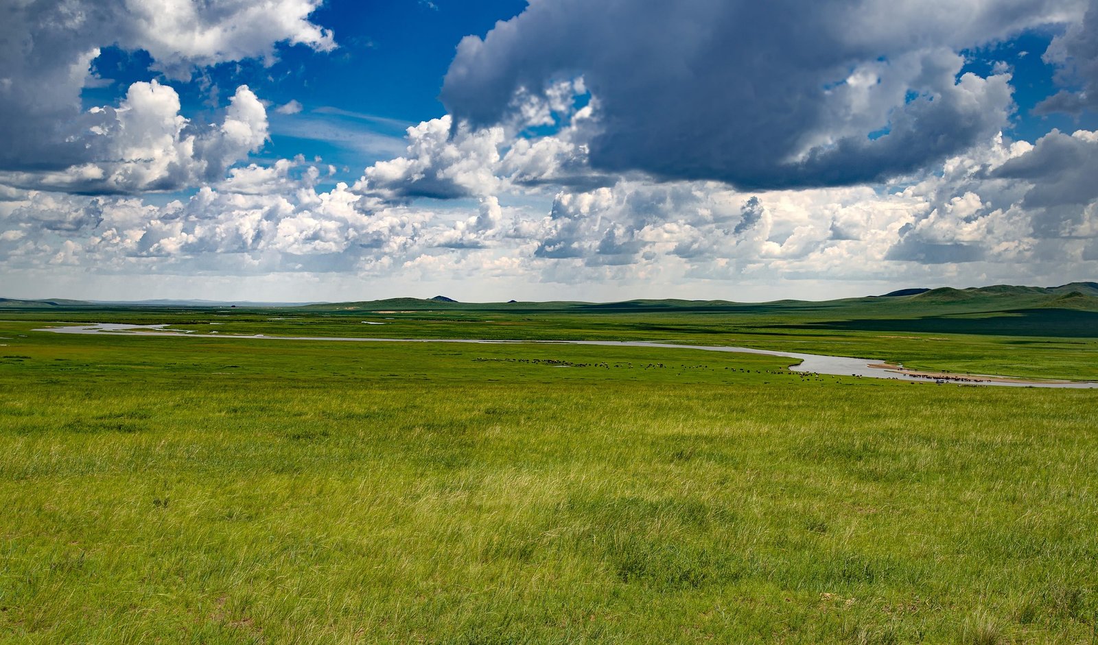 Vast green Mongolian steppe with a winding river under summer clouds - what to pack for Mongolia summer travel