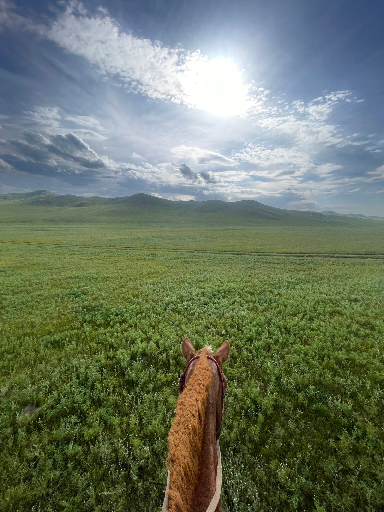 Point of view shot of horseback riding in Mongolia looking over the horse mane across the green steppe