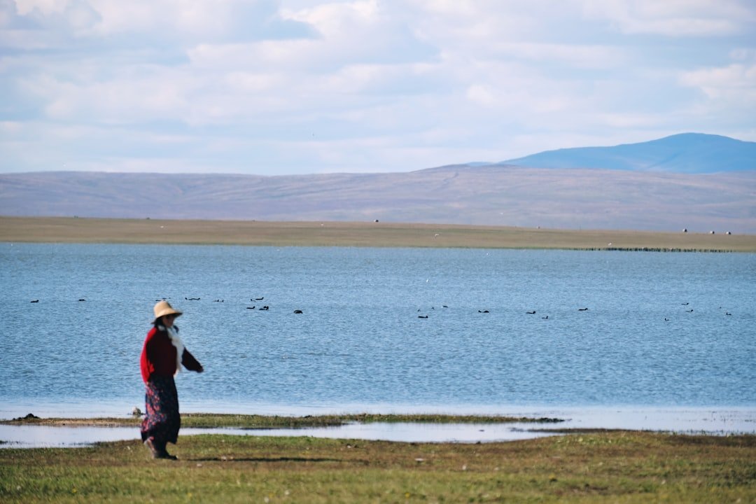 Mongolia travel scene - Horses or festivals scene from Mongolia