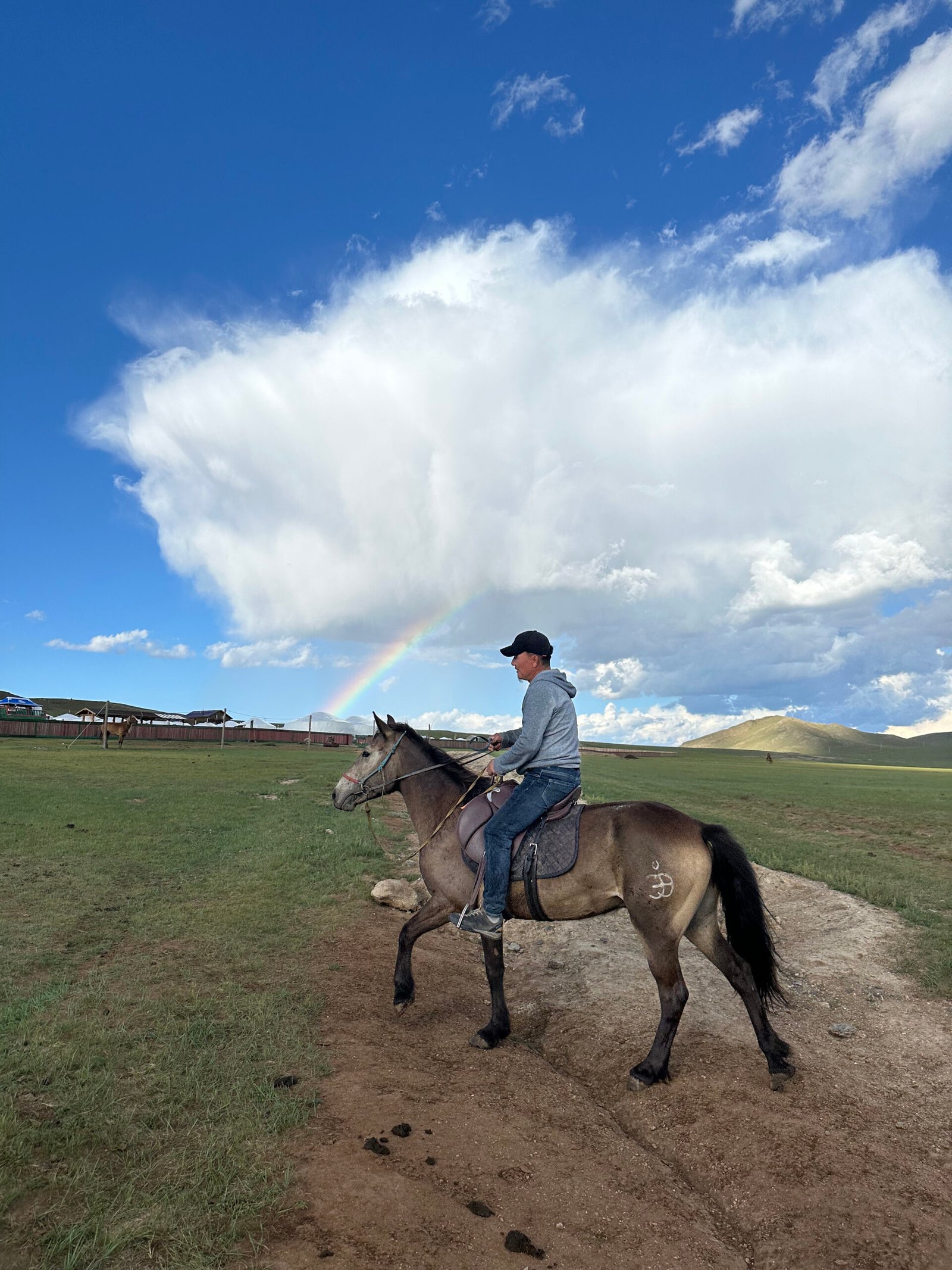Lone horse rider on the Mongolian steppe with a dramatic rainbow and blue sky overhead