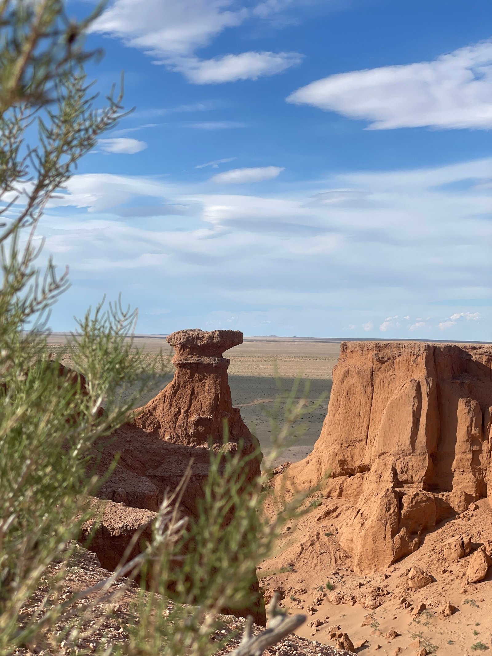 Flaming Cliffs of Bayanzag red sandstone hoodoo formations in the Gobi Desert, Mongolia