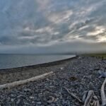 Driftwood on misty Khuvsgul Lake shore at dawn northern Mongolia — Khuvsgul Lake Explorer