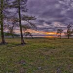 Khuvsgul Lake shoreline with larch trees at sunset northern Mongolia — Khuvsgul Lake Tour