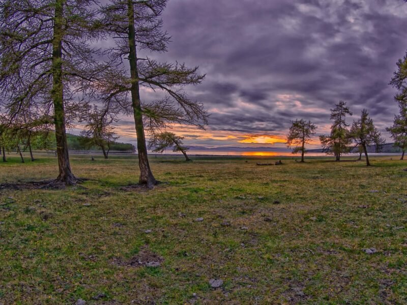 Khuvsgul Lake shoreline with larch trees at sunset northern Mongolia — Khuvsgul Lake Tour