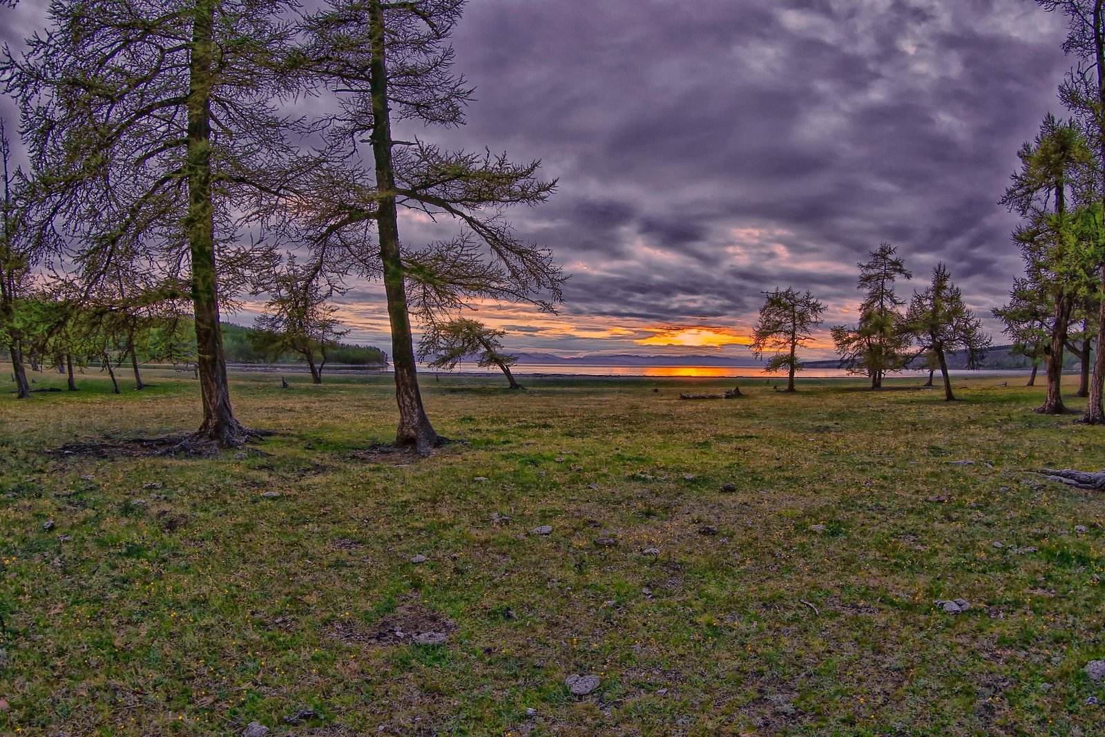 Khuvsgul Lake shoreline with larch trees at sunset northern Mongolia — Khuvsgul Lake Tour