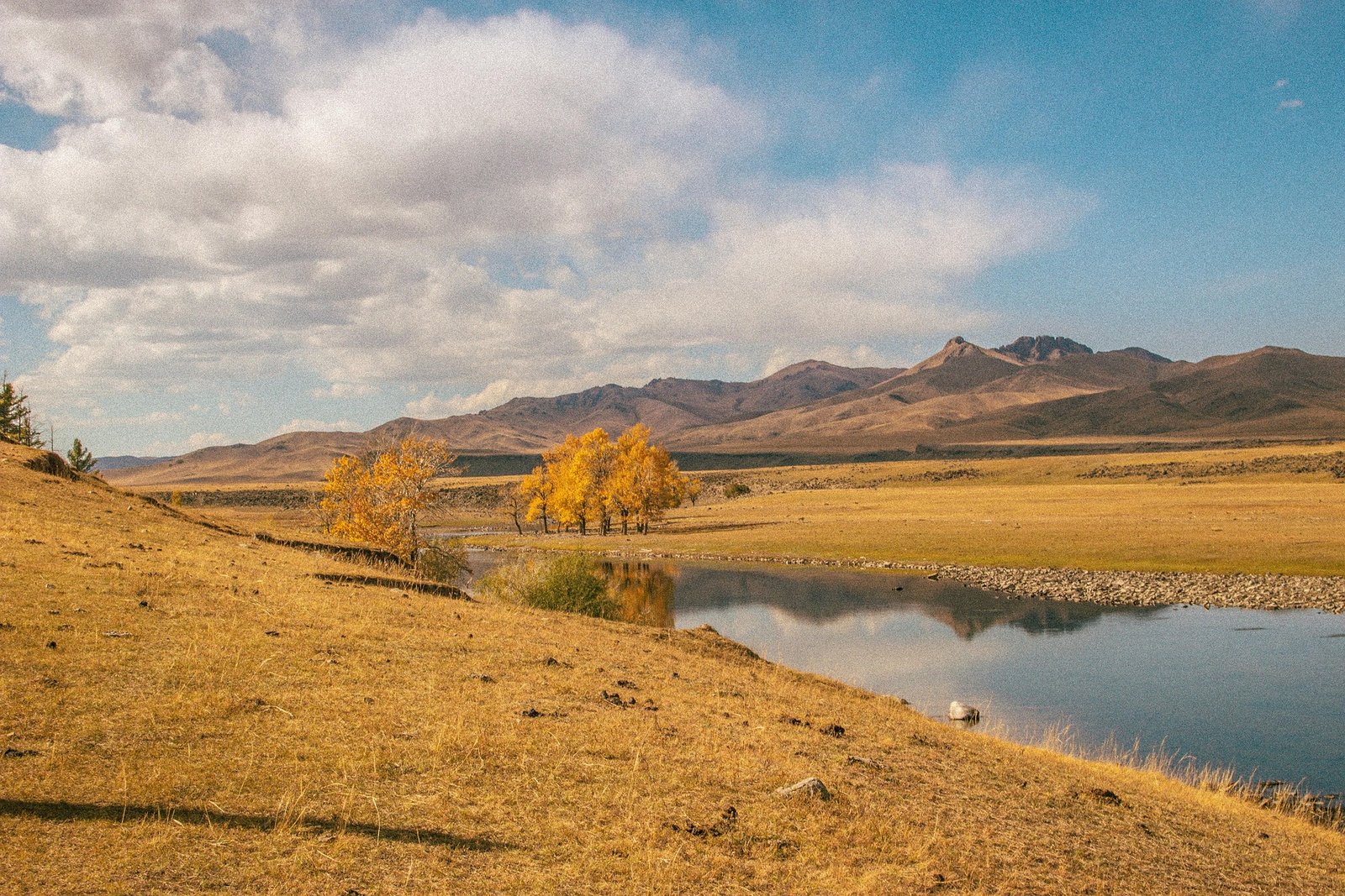 Golden autumn steppe with yellow trees lake and mountains - Mongolia packing list for autumn