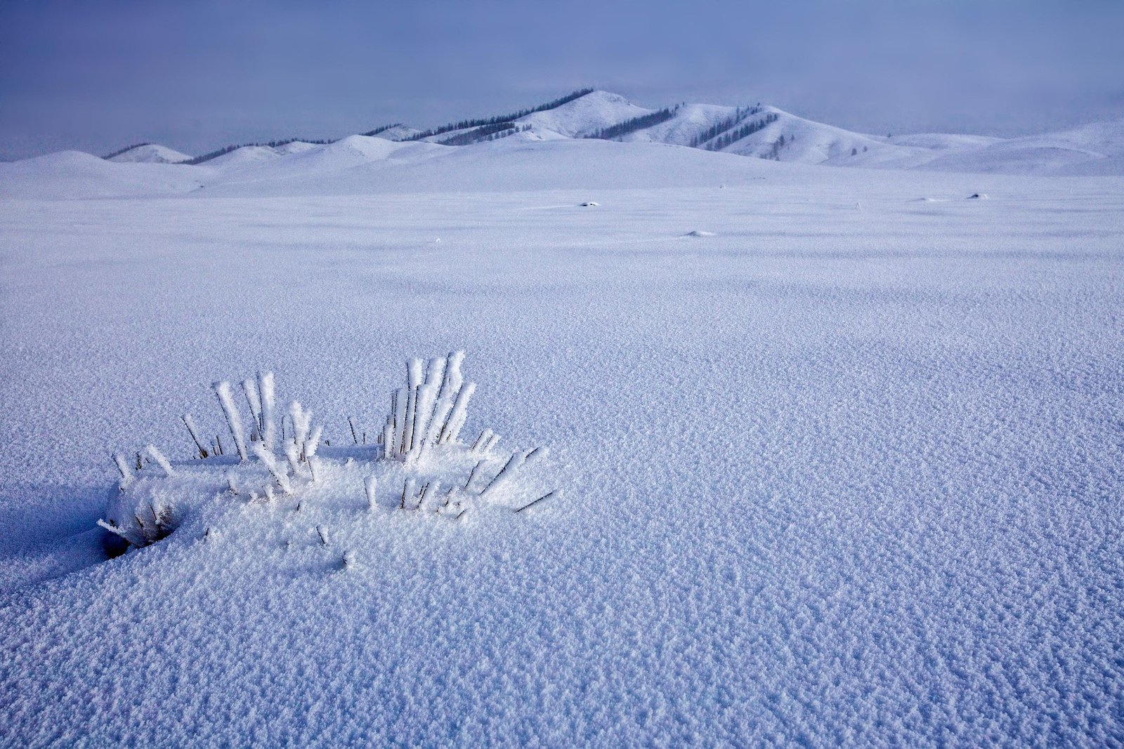 Snow-covered Mongolian steppe with frost and blue winter sky - Mongolia packing list for winter
