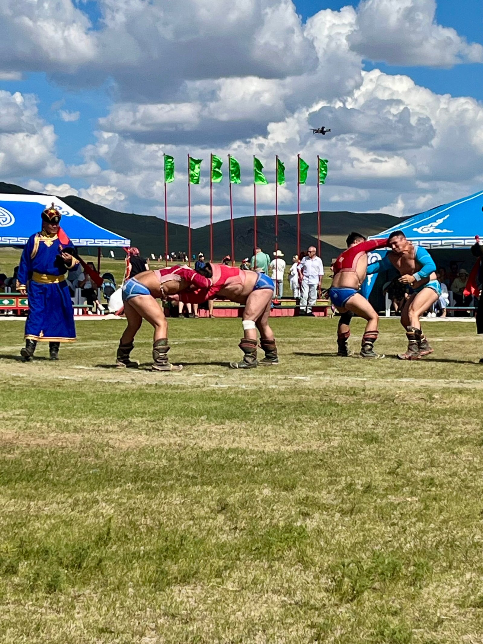 Mongolian wrestlers in traditional bokh wrestling competition at Naadam Festival on grass field with flags
