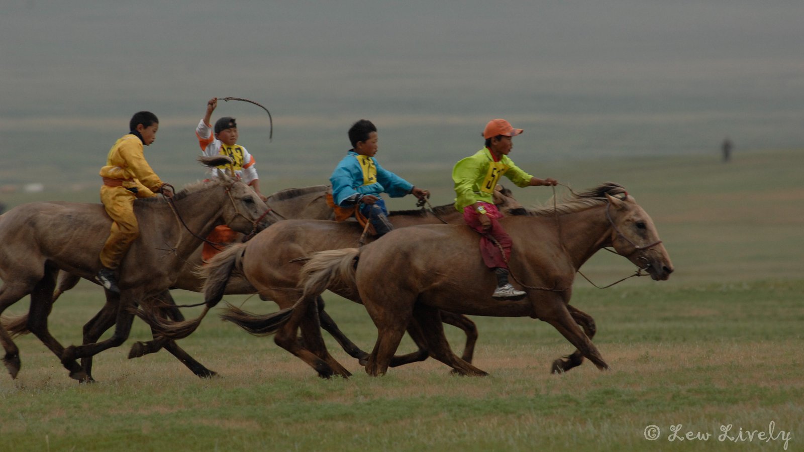Child jockeys racing horses at Naadam Festival horse race in Mongolia with crowd watching at finish line