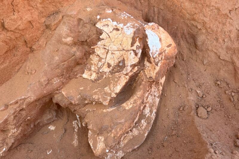 Gobi Desert tour Mongolia Flaming Cliffs dinosaur fossil