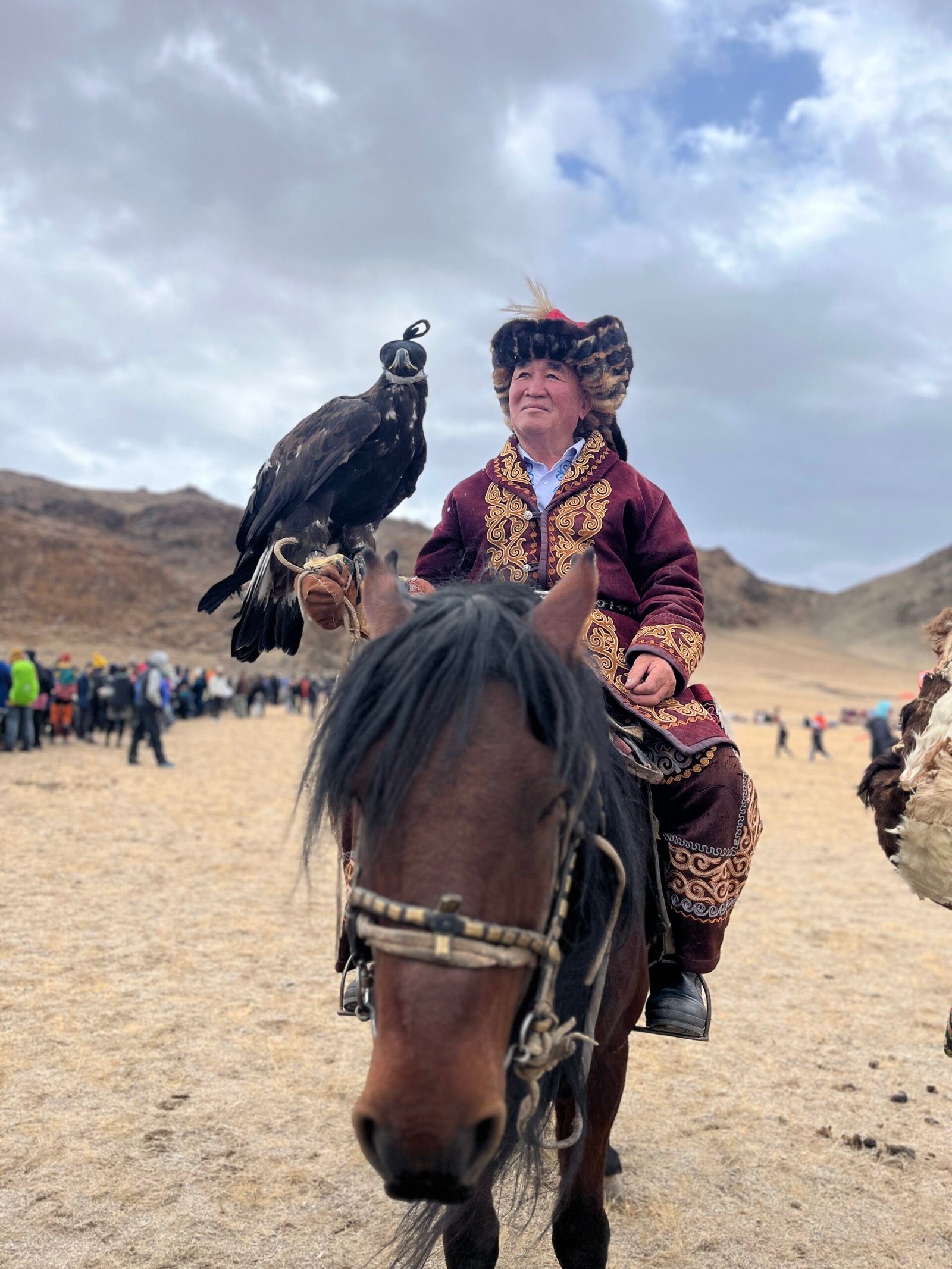 Kazakh eagle hunter on horseback with golden eagle at wings spread at the Golden Eagle Festival in Bayan-Olgii, Mongolia