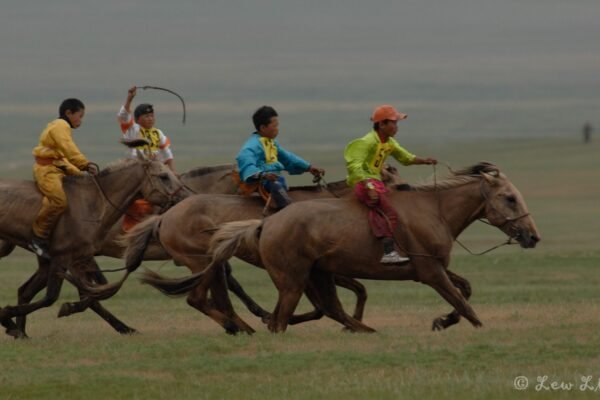 Young Mongolian jockeys race horses across the steppe at Naadam
