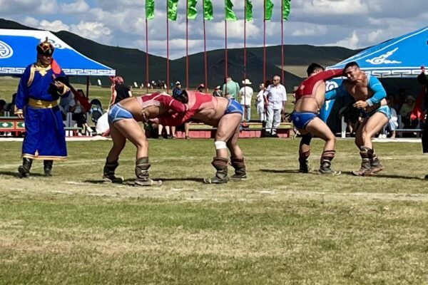 Mongolian wrestlers grappling on a green field at a countryside Naadam