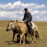 Onon river valley Khentii Mongolia landscape