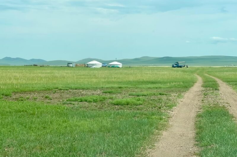 Khukhuur Steppe summer Khentii Mongolia landscape