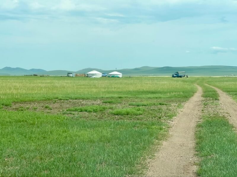 Khukhuur Steppe summer Khentii Mongolia landscape