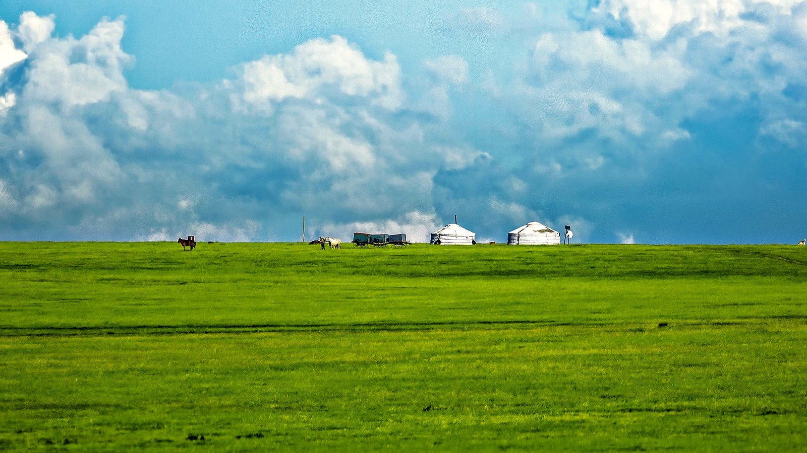 Open Mongolian rangeland under cumulus cloud with a ger camp on the far horizon
